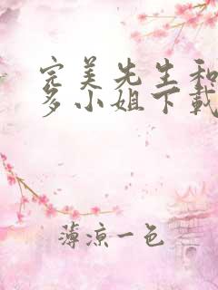 完美先生和差不多小姐下载