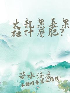 火龙果长果期间施什么肥?