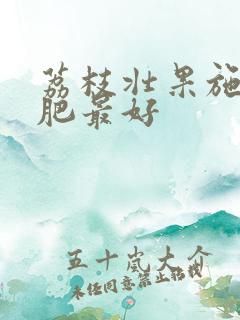 荔枝壮果施什么肥最好