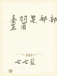 秦羽是哪部小说主角