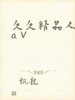 久久精品人人爽a∨