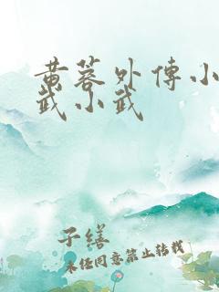 黄蓉外传小之大武小武