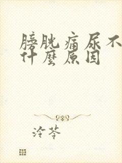 膀胱痛尿不出来什么原因