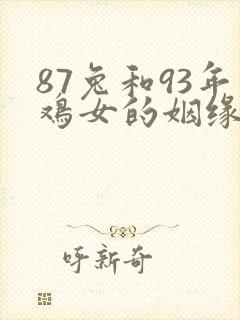 87兔和93年鸡女的姻缘