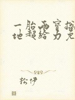 一胎两宝总裁爹地超给力免费阅读