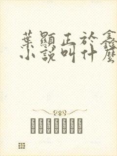 叶显正于鑫原著小说叫什么