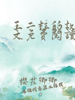 王二柱的故事全文免费阅读