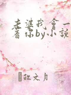 老婆我会一直缠着你by小说免费阅读
