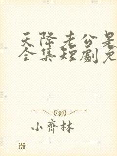 天降老公是大佬全集短剧免费观看