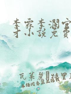 李霖李澜官场奇才小说免费阅读