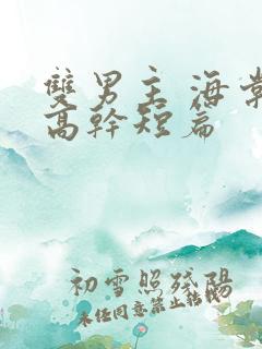 双男主 海棠 高干短篇