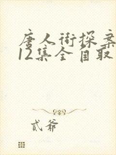 唐人街探案网剧12集全自取