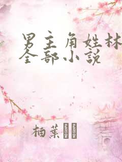 男主角姓林辰的全部小说