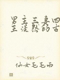 男主三妻四妾女主淡然的古言
