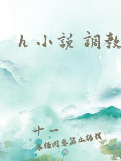 h 小说 调教