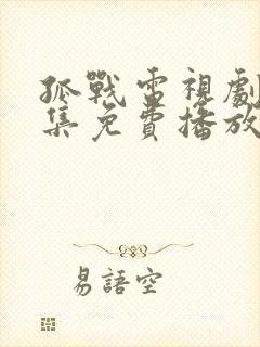 孤战电视剧40集免费播放