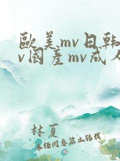 欧美mv日韩mv国产mv成人