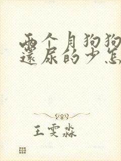 两个月狗狗尿频还尿的少怎么办