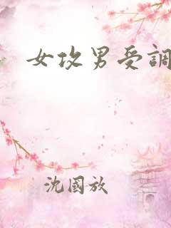 女攻男受调教文