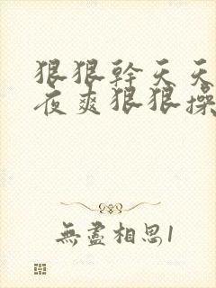 狠狠干天天爽夜夜爽狠狠操