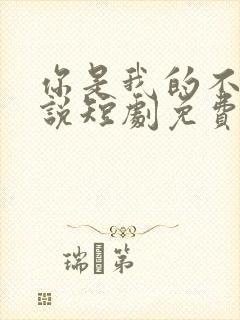 你是我的不可言说短剧免费播放全集