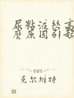 尿粘液丝高是什么原因引起的
