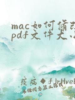 mac如何修改pdf文件大小