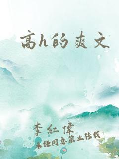 高h的爽文