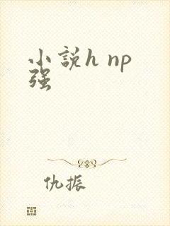 小说h np 强
