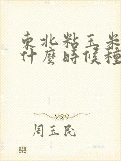 东北粘玉米最晚什么时候种