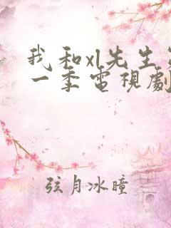 我和xl先生第一季电视剧免费观看