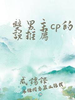 双男主cp的小说推荐