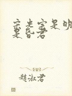 宋光宗是明君还是昏君