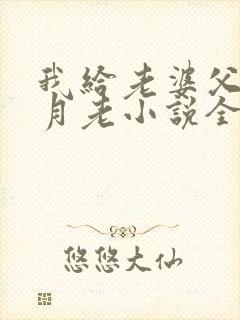 我给老婆父亲当月老小说全文阅读