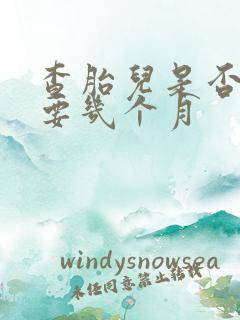 查胎儿是否畸形要几个月