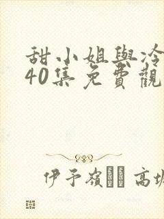 甜小姐与冷先生40集免费观看