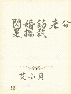 闪婚的老公居然是总裁