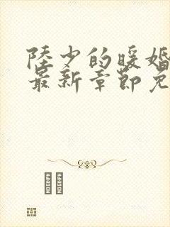 陆少的暖婚新妻最新章节免费阅读