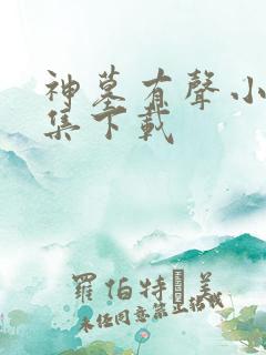 神墓有声小说全集下载