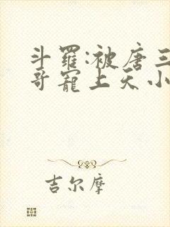 斗罗:被唐三哥哥宠上天小说读