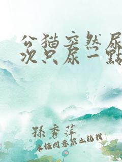 公猫突然尿频每次只尿一点
