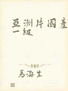 亚洲片国产一区一级