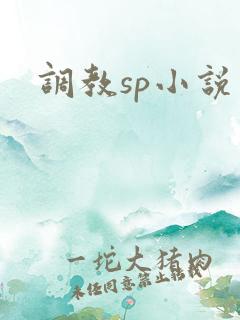 调教sp小说