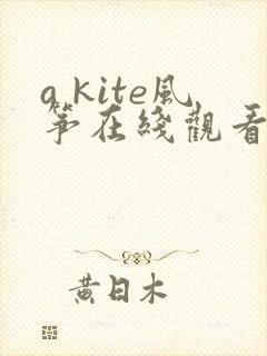 a kite风筝在线观看
