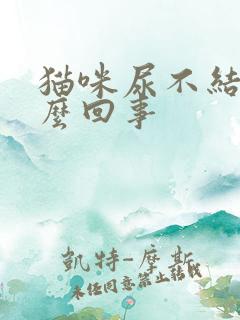 猫咪尿不结团怎么回事