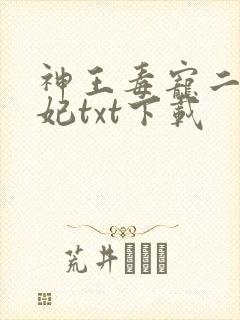 神王毒宠二嫁王妃txt下载