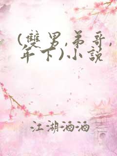 (双男,弟哥,年下)小说