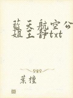 蓝天航空公司空姐王静txt