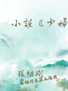 小说《少妇白洁