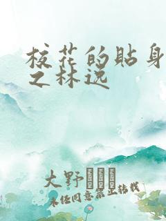 校花的贴身高手之林逸